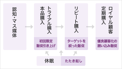 リピート育成イメージ